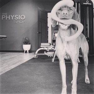 The Physio Shop